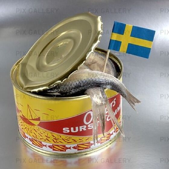 A can of fermented Baltic herring, known as surstromming in Swedish,  News Photo - Getty Images